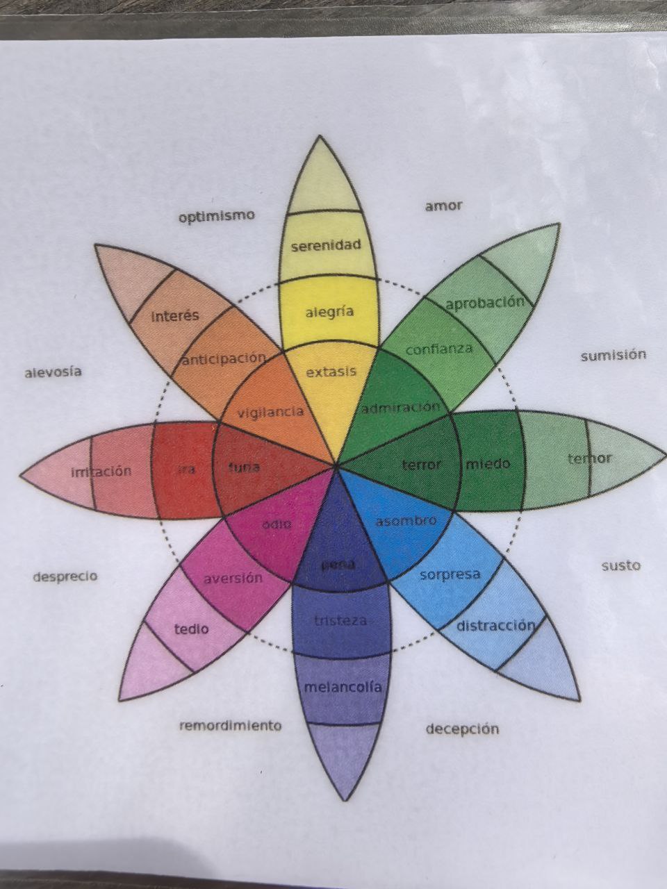 Cercle de conversa sobre la identificació i gestió de les emocions.