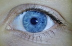 Ojo izquierdo de Silvia