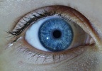 Ojo derecho de Silvia