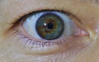ojo bicolor derecho de Mica
