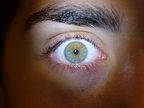 Original del ojo derecho de Alba