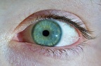 Ojo izquierdo de Elena