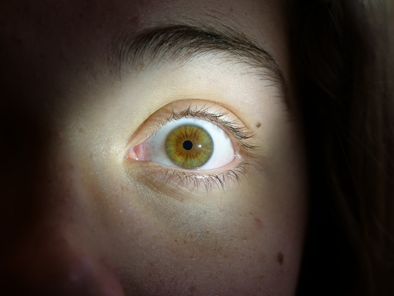 Original del ojo izquierdo de Laura