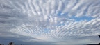 IMG 20220826 083219